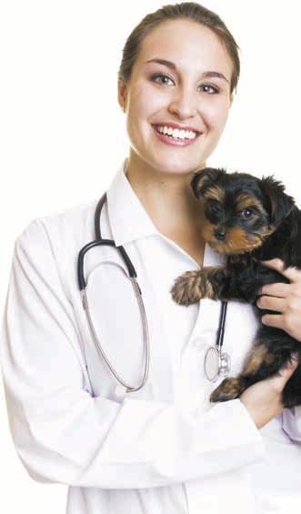 Maravet-Soft Caracteristici principale: Evidența proprietarilor şi a animalelor deținute; Evidența
