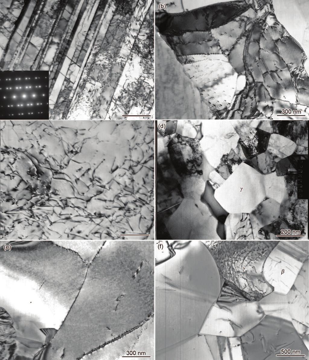 11 3^ : < β # TiAl FÆ 5[ AC 8 ~ 5 Ti 42Al 9V.3Y 1343 G Lh 6\ TEM ( Fig.5 TEM images of Ti 42Al 9V.3Y alloy after hot compression at different temperatures and strain rates (Inset in Fig.
