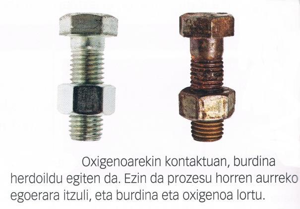 Arrautza frijitua eta burdinaren herdoilketa 3.