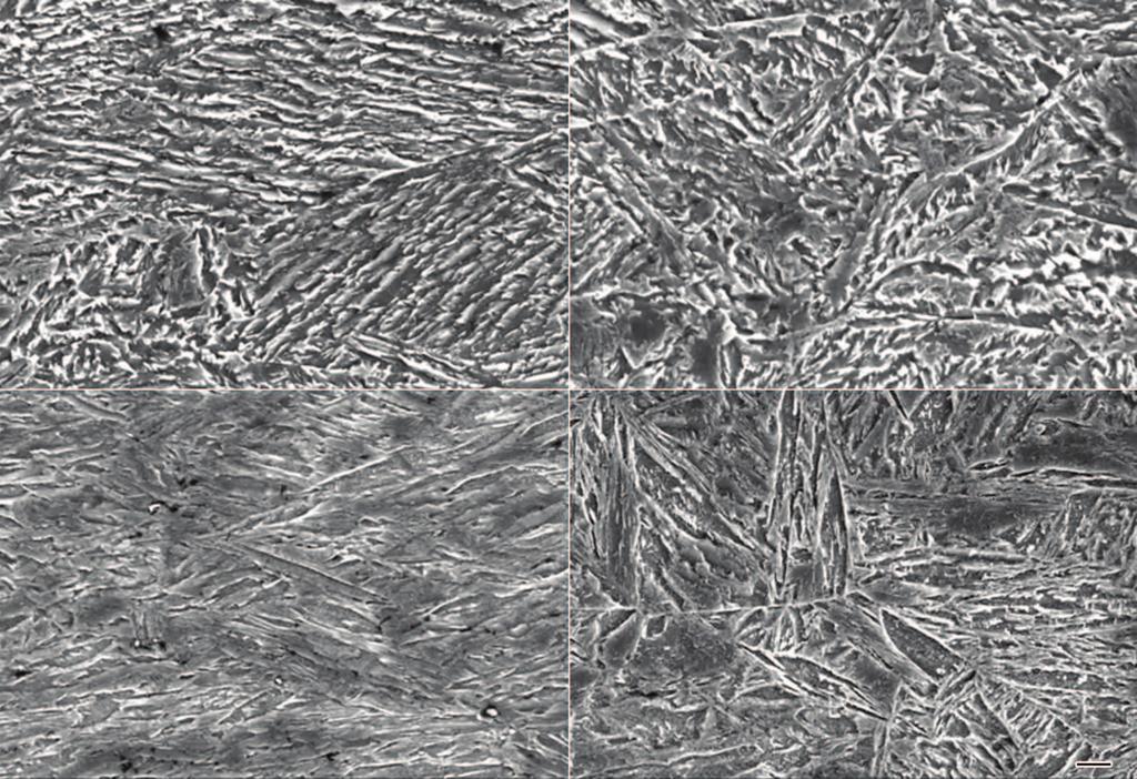 690 p y 46 r 4 8'j."VYe Z SEM f Fig.4 SEM images of the tested steel at various processes of TMCP (a), CR+AC (b), CR+DQ (c) and CR+DQ+T (d) r 5 8'j."VYe Z TEM f Fig.