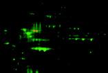 3 A-22010 5-acetylaminofluorescein di-β-d-galactopyranoside (C 2 FDG)... 5 mg 10.2 A-685 5-((2-(and-3)-S-(acetylmercapto)succinoyl)amino)fluorescein (SAMSA fluorescein) *mixed isomers*... 25 mg 5.