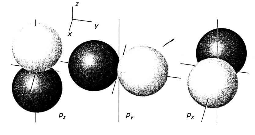 P - orbitale Kod p orbitala je orbitalni kvantni broj l =1, odnosno elektron ima orbitalni ugaoni moment intenziteta l ( l + 1) h = h.