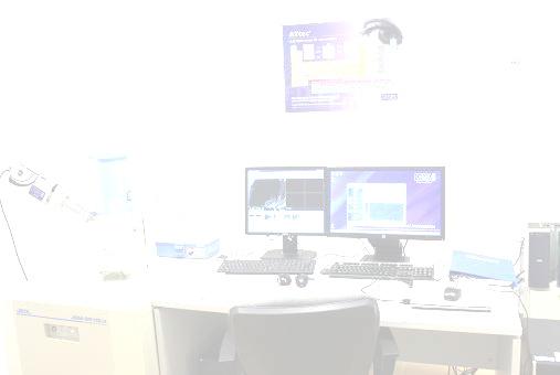 Ερευνητικά Προγράµµατα Research Projects - Μη καταστροφικές Μελέτες Συντήρησης και Ανάδειξης Εκκλησιαστικών Έργων Τέχνης, Περιοχής Μεγαλόπολης (Non-Destructive Analytical and Conservation Studies of