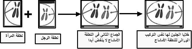 22 المؤتمر العالمي العاشر لإلعجاز العلمي في القرآن والسنة ال يزال حمري ا يف كيفية إثبات العالقة بني الزوجني والقائمة عىل السرت لذا اضطررنا إىل التوجه إىل األدلة الظاهرة إلثبات الفراش )من هوأبواالبن(