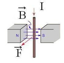 Biofizica şi Fizică Medicală ezultatul inteacţiunii dinte cuentul electic şi câmpul magnetic şi ae expesia: F = I l B Fig.