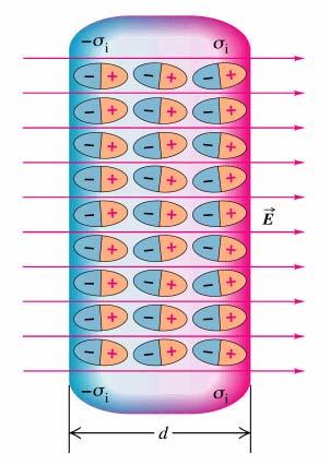 Noţiuni de electicitate şi magnetism. Aplicaţi medicale ale cuenţilo electici şi câmpuilo magnetice naştee unui cuplu al căui efect este oientaea dipolului în aceeaşi diecţie cu câmpul. Fig.