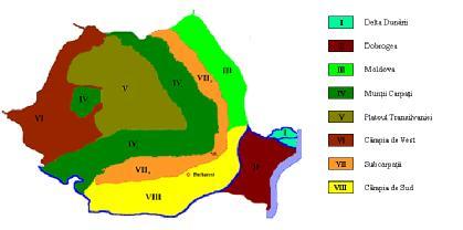 Resurse energetice regenerabile Directiva 2009/28/EC a Parlamentului European şi a Consiliului din 23 aprilie 2009 privind promovarea utilizării energiei din surse regenerabile, impune obiectivul de