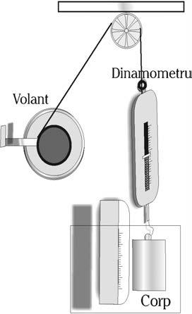 Oscilaþiile nu se aortizeazã, adicã aplitudinea acestora rãâne constantã dacã sisteul oscilant prieºte din exterior energia pierdutã prin frecãri, la intervale de tip egale cu perioada oscilaþiilor