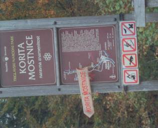 Na tem mestu obratujeta dve elektrarni. Starejπa, ki je manjπa in je moëi 388 kva, je bila postavljena na pogoriπëu tovarne lesne moke æe leta 1979.