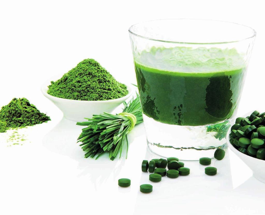 Spirulina podporuje správne zažívanie, vrátane pravidelného pohybu čriev. Pomáha potlačiť nežiadúce baktérie a naopak, vytvoriť ideálne prostredie pre dobré baktérie, pomáhajúce v trávení.