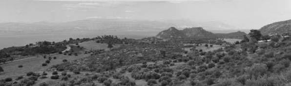 (α) Θαλάσσια αναβαθμίδα Τυρρηνίου (Θέση Α), (β) Αρχαία εξόρυξη κογχυλιάτη λίθου, (γ) Προσπάθεια εξόρυξης στον ασβεστόλιθο με Rivularia.