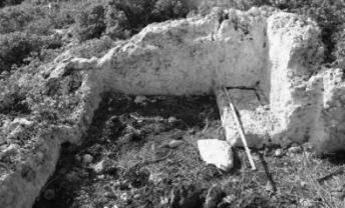 προβληματισμό που έχει αναπτυχθεί πρόσφατα, τόσο για το περιβάλλον σχηματισμού τους, όσο και για τους ρυθμούς τεκτονικής ανύψωσης.