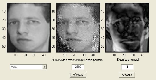 3.3. Aplcate de vzualzare a gefaces gevectors petru ag grascale Oectve: - vzualzarea ue feţe otute pr pastrarea prelor copoete prcpale; - vzualzarea ue feţe otute pr pastrarea doar a ue aute copoete