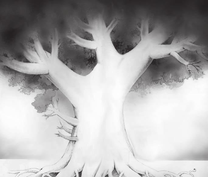 Comentează cum se scrie și se rostește prenumele și numele tău, în conformitate cu normele altor limbi (franceză, engleză etc.). 4. Alcătuiește arborele genealogic al familiei tale.