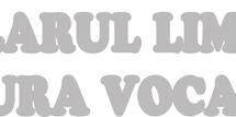 Literatură, studiul literaturii (la pl.). Ştiinţe umanistice, filologie (prin generalizare, la plu ral). LITERATURĂ, LITERATURI Artă al cărei mijloc de expresie este cuvîntul.