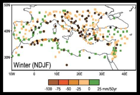 term variability. Therefore, care has to be taken when interpreting the trend analysis of precipitation data.