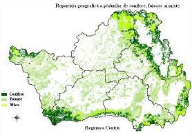 de sinteză; fermentarea, cu generare de biogaz sau bioetanol; transformarea biomasei de tip ulei vegetal prin tratare cu un alcool şi generare de esteri; degradarea enzimatică a biomasei cu obţinere
