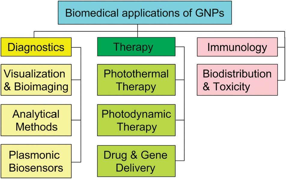 Aplicacións biomédicas das NPAu L.