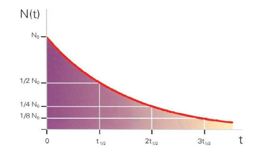 N0 je začetno število še nerazpadlih jeder. Slika 5: Graf N v odvisnosti od t, ki ga kaže slika zgoraj, je eksponentna krivulja [7] 2.