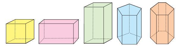 Подударни и паралелни многоуглови називају се основе или базе призме. Сваки правоугаоник који образује пар одговарајућих страница многоуглова са пројектујућим зрацима назива се бочна страна призме.