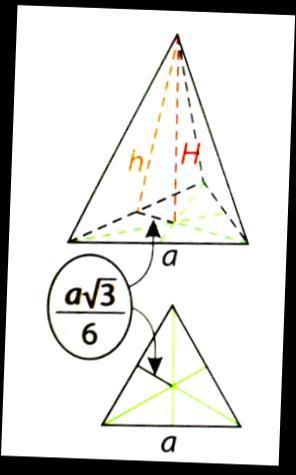 Бочне стране правилне пирамиде су међусобно подударни једнакокраки троуглови.