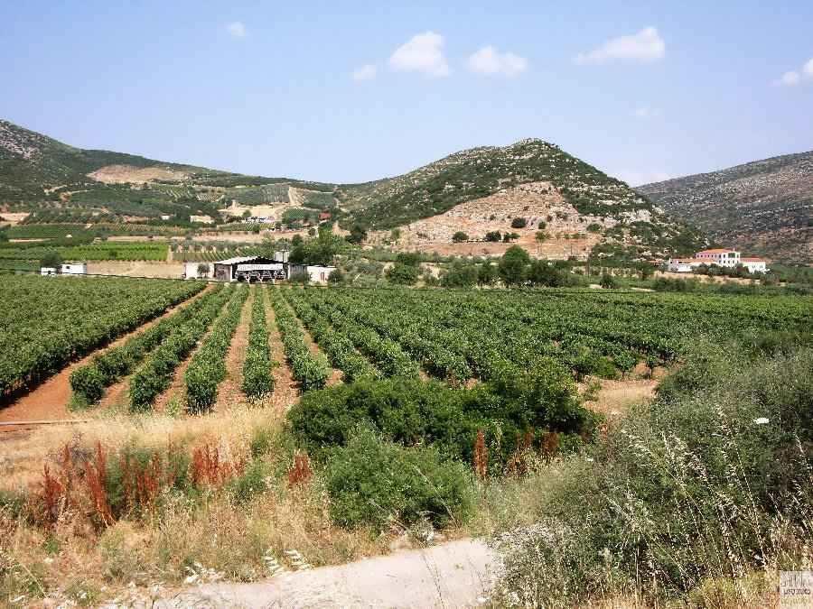 Μ ο ν ά δ α κ ο μ π ο σ τ ο π ο ί η σ η ς 141 Πίνακας 8. 8: Εκτίμηση κόστους Περιγραφή Κόστους Κόστος Γη (τιμή τ.μ. 8 ) x 8.000 m 2 64.000 Νομικά Έξοδα 4.000 Σύνολο 68.000 Στην εικόνα 8.