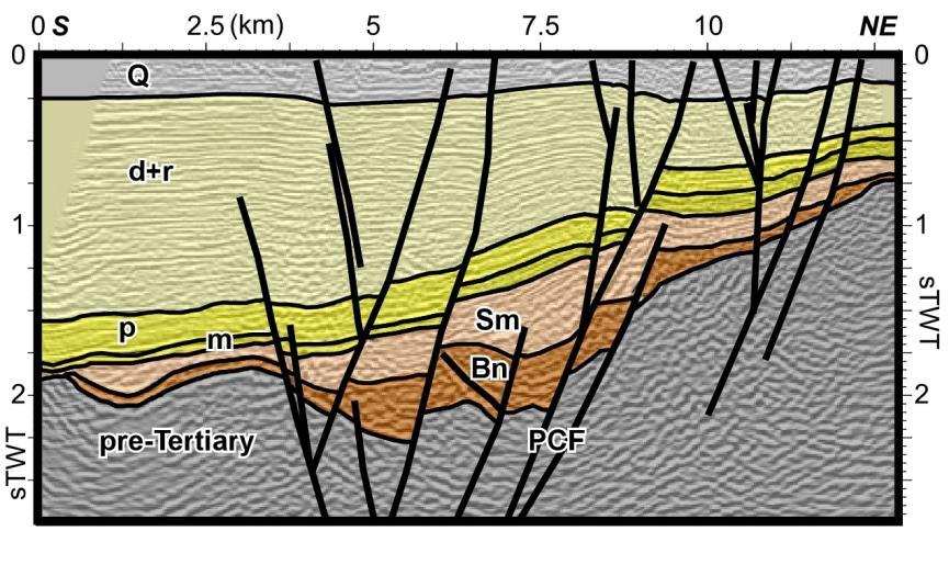 actuale ale acestui sistem de decroșare crustal dextru; majoritatea structurilor recente indică regim transtensiv Fig.9.
