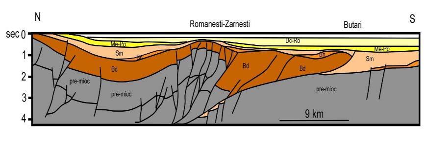 Conservarea şi gestionarea resurselor naturale Agora Est Consulting Secțiunea IV