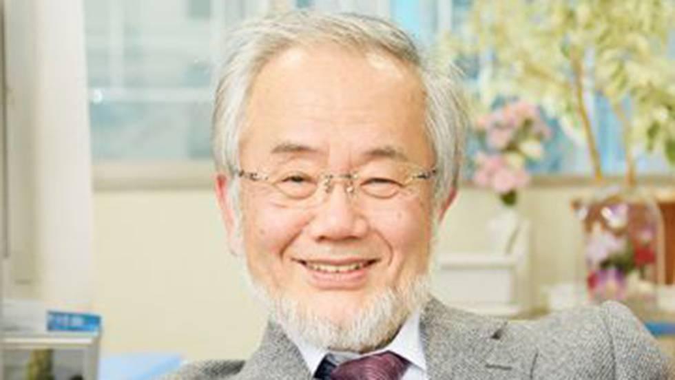 78) Por que descubrimento científico recibiu o premio Nobel de Fisioloxía e Medicina de 2016 Yoshinori Ohsumi? a. Por deseñar e producir máquinas moleculares. b.