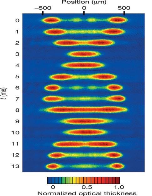 Međudjelujući kvantni atomski plinovi Revijalni rad: Bloch Dalibard Zwerger Rev. Mod. Phys. 80 885 008. Motivacija: Analogija s nekoherentnom svjetlošću H. Buljan et al. Phys. Rev. Lett.