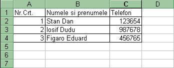 Observati ca valorile de tip text sunt aliniate in mod automat in stanga celulei, iar valorile numerice sunt aliniate in mod automat in dreapta celulei!
