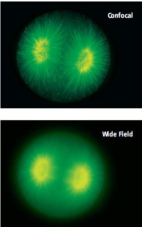 skeniranjem: manj bledenja fluorescence