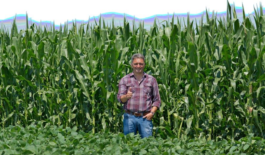 BASF Informator SEPTEMBAR - OKTOBAR MART 2015. 2014. 7 Wing -P Potvrđen u praksi Upotreba folijarnih herbicida je donela jednu jednostavnost u primeni hemije u polju. Jednostavno je i praktično.