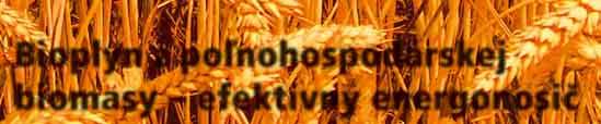 ABE_02_2010 20.7.2010 13:14 Stránka 4 Bioplyn z poľnohospodárskej biomasy efektívny energonosič prof., Ing.