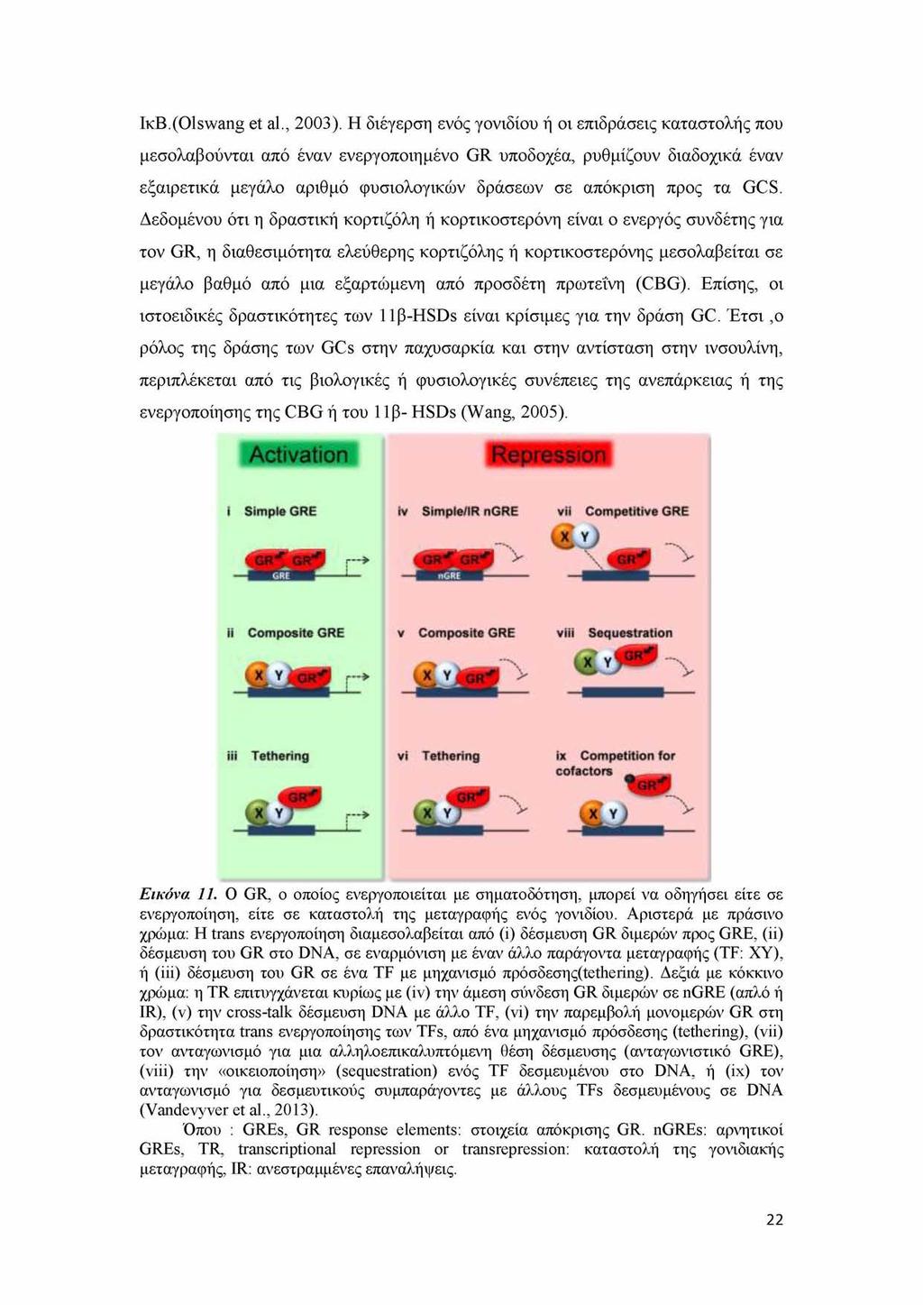 lkb.(olswang et al., 2003).