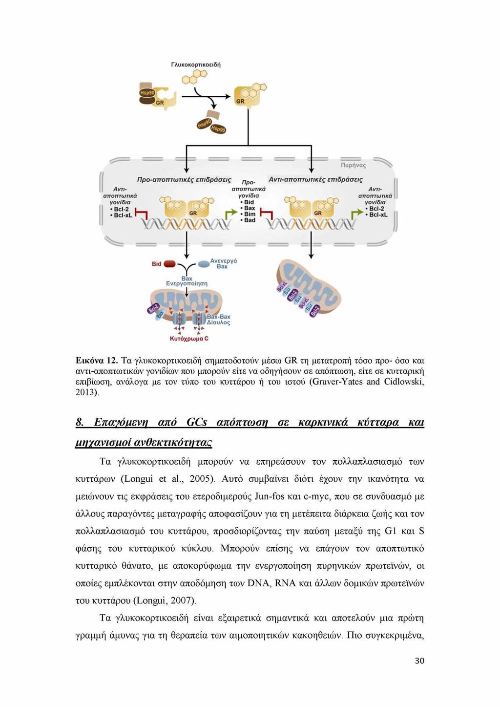 Εικόνα 12.