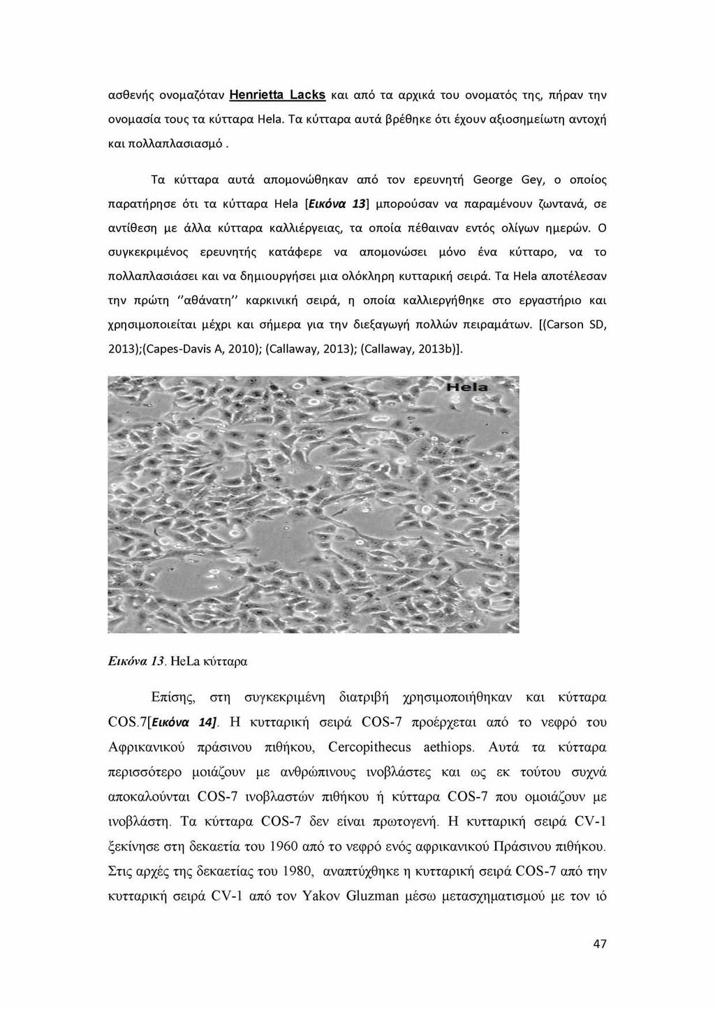 α σ θ ε ν ή ς ο ν ο μ α ζ ό τ α ν Henrietta Lacks και α π ό τ α α ρ χικ ά τ ο υ ο ν ο μ α τ ό ς τη ς, π ή ρ α ν τη ν ο ν ο μ α σ ία το υ ς τ α κ ύ ττα ρ α H ela.