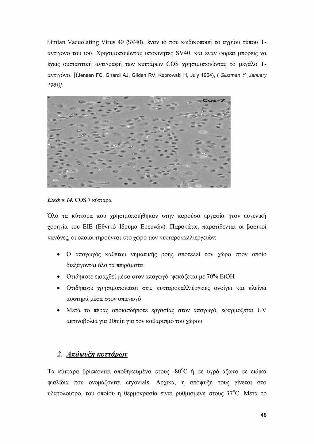 Simian Vacuolating Virus 40 (SV40), έναν ιό που κωδικοποιεί το αγρίου τύπου Τ- αντιγόνο του ιού.