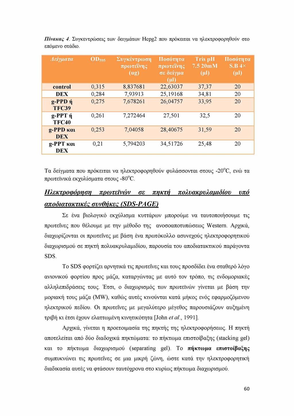 Πίνακας 4. Συγκεντρώσεις των δειγμάτων Hepg2 που πρόκειται να ηλεκτροφορηθούν στο επόμενο στάδιο. Δείγματα OD595 Συγκέντρωση Ποσότητα Tris ph Ποσότητα πρωτεΐνης (ug) πρωτεΐνης σε δείγμα 7.5 20mM (μ!