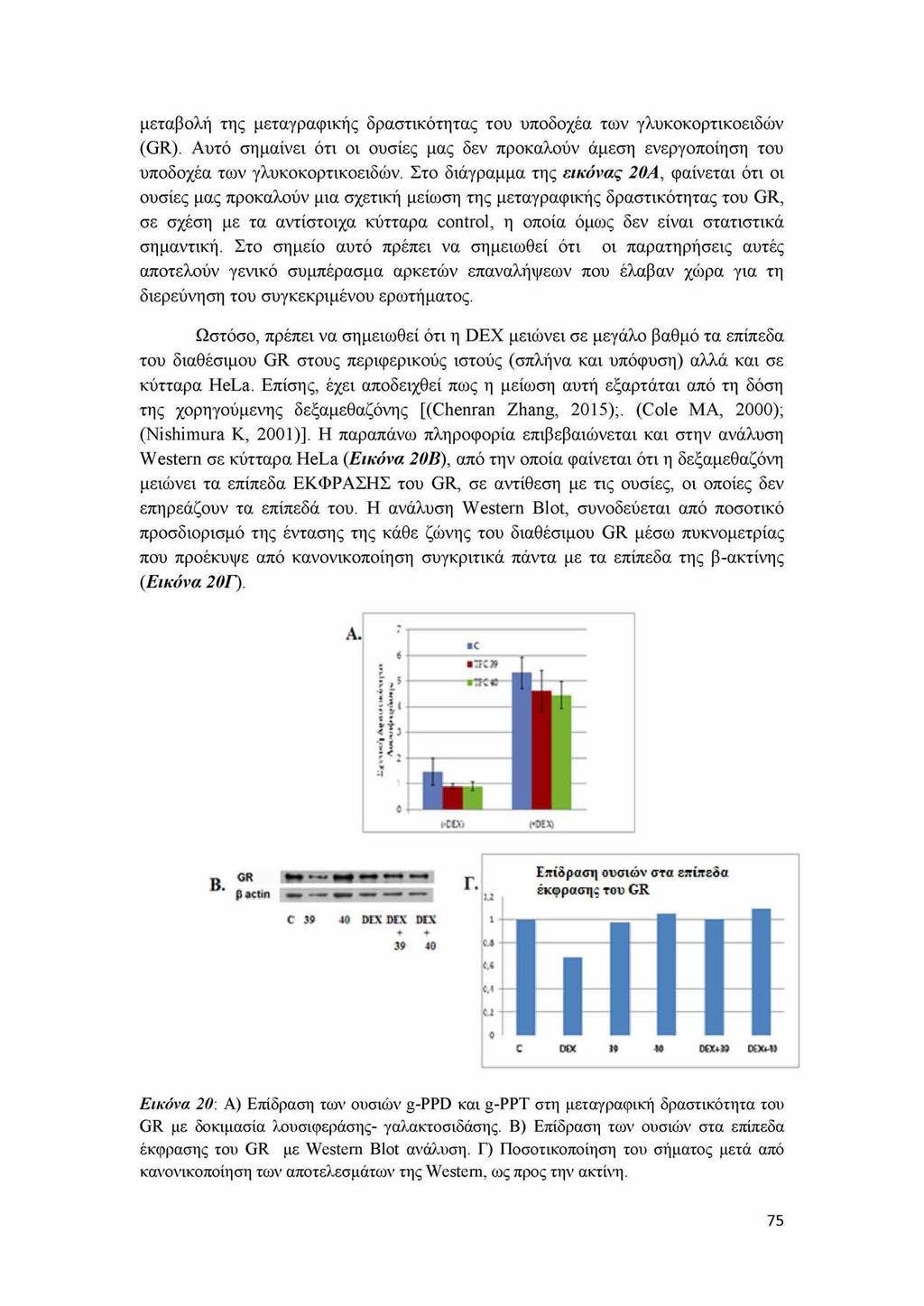 μεταβολή της μεταγραφικής δραστικότητας του υποδοχέα των γλυκοκορτικοειδών (GR). Αυτό σημαίνει ότι οι ουσίες μας δεν προκαλούν άμεση ενεργοποίηση του υποδοχέα των γλυκοκορτικοειδών.