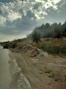 Στον παρακάτω πίνακα φαίνονται οι επιμέρους παρεμβάσεις ανά δημοτικό διαμέρισμα (σε αριθμό δέντρων): Άνω Βασιλικά