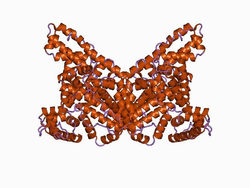 struktura proteina je redosled aminokiselina (sekvenca) i lokacija disulfidnih