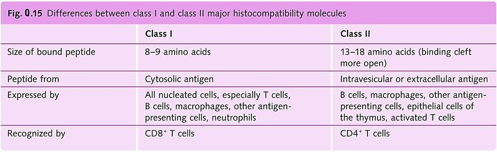 MHC (HLA)