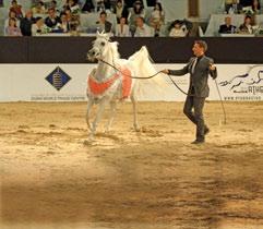 omantourism.gov.om www.oman.travel www.omantourisme.com www.visitoman.nl www.visitoman.be www.tourismoman.com.au www.muscat-festival.