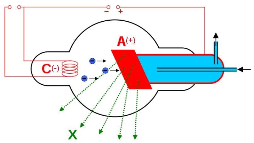 CB.01.6. Radioactivitatea naturală şi Radiaţiile X O importantă dovadă a faptului că atomul are o structură complexă a fost descoperirea radiaţiilor X şi a fenomenului numit radioactivitate.