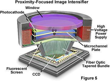 .. MCP+Fosforas+CCD=CCD CCD kamerų triukšmai Terminė generacija e pix -1 s -1.