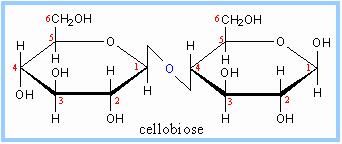 1) 6-D-Glucopyranosyl- α-1-d-glycopyranoside. 2) - α-d-glucopyranosyl(1 6)- α-d-glucopyranoside.