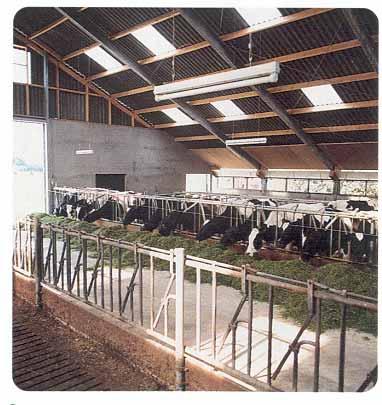Utilizarea unui aşternut corespunzător este esenţială pentru confortul animalelor şi pentru starea de sănătate. De calitatea aşternutului depinde timpul de odihnă a animalelor.