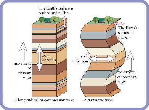 Types of Seismic waves أنواع االمواج الزلزالية : هنا نوعان من األمواج الزلزالية هي األمواج الداخلية واالمواج السطحية. -8 االمواج الداخلية الجسمانية : waves Body وهي األمواج التي.