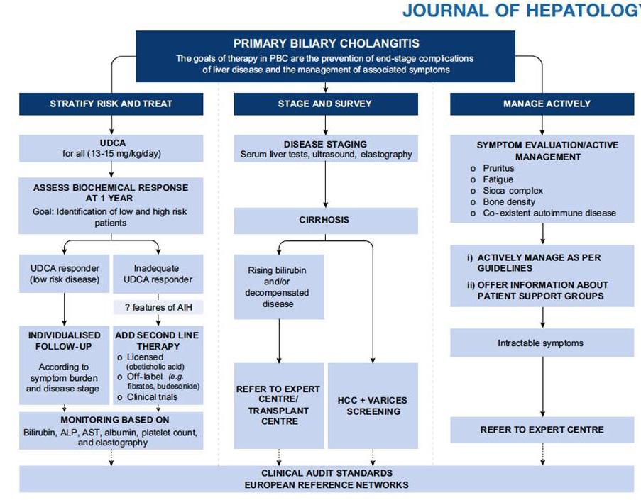 Európska asociácia pre štúdium pečene (European Association for the Study of the Liver, EASL) vydala v roku 2017 v časopise Journal of Hepatology nové Odporúčania pre klinickú prax (Clinical Practice